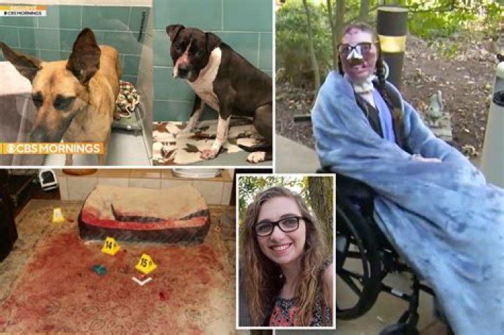 Where Is Jacqueline Durand? Dr Justin Bishop Dog Attack Victim Today