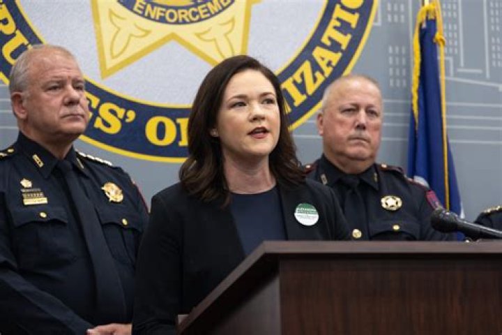 Who Is Alexandra Del Moral Mealer From The Harris County? Judge Nominee Wiki