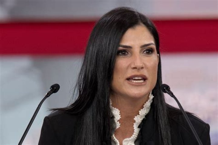 Who Is Chris Loesch? Dana Loesch Husband – Wikipedia Bio And More Facts To Know