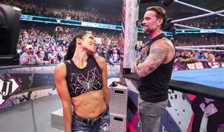 Who Is CM Punk Wife AJ Lee? Get A Closer Look