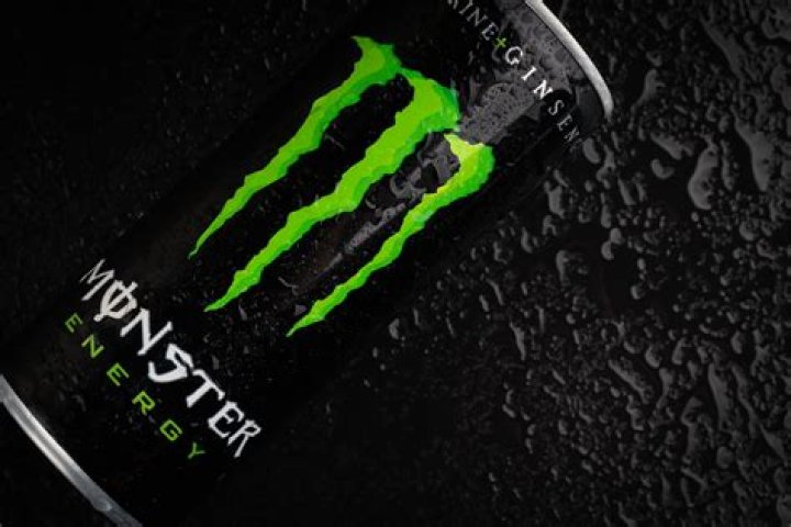 Who is Hans Molenkamp? Monster Energy Wikipedia And Net Worth Revealed