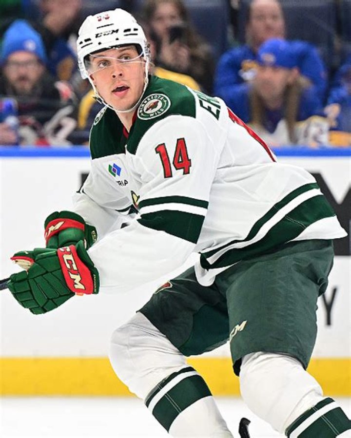 Who Is Joel Eriksson Ek Brother Olle Eriksson Ek? Age Gap Family And Net Worth Difference