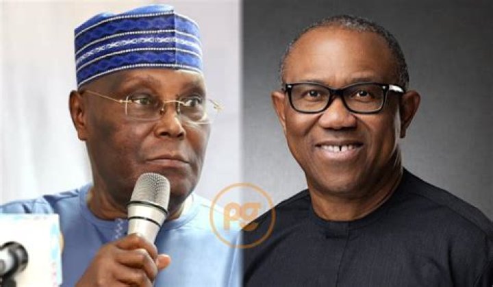 Who Is Richer Among Atiku Abubakar and Asiwaju Tinubu? Net Worth Compared