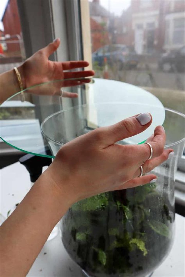 Why did my glass lid shattered