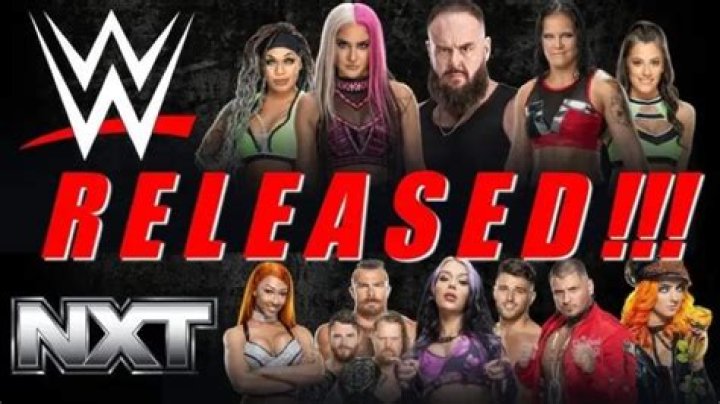 Why Is Dakota Kai Released From WWE, What Happened To Her? Health Problems Explained