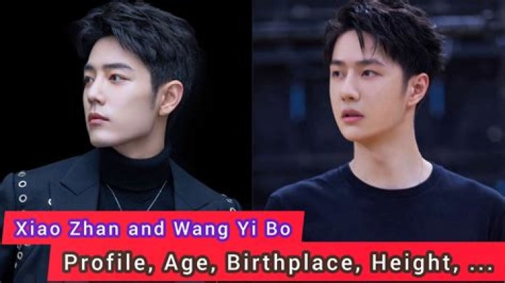 Xiao Zhan Height, Weight, Net Worth, Age, Birthday, Wikipedia, Who, Instagram, Biography